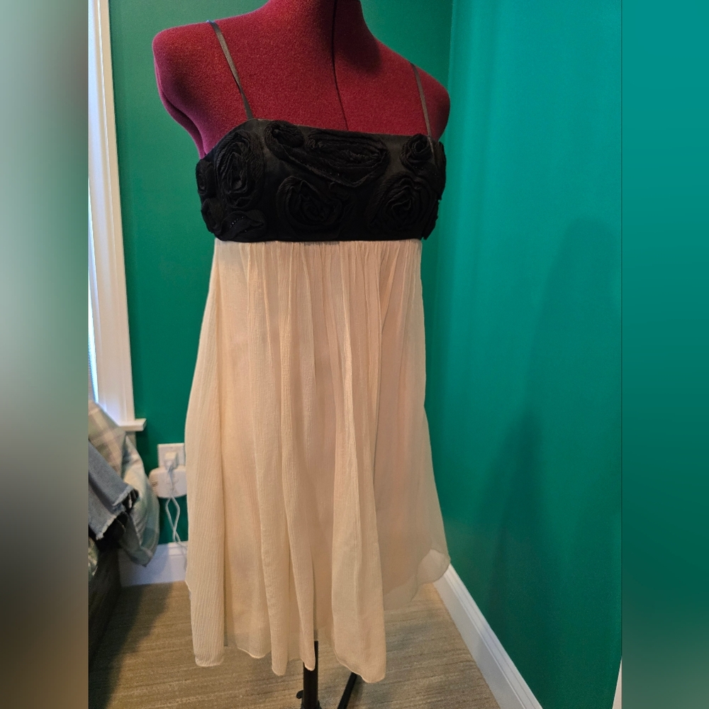 BCBGMaxazria Black and Cream Silk Chiffon Beaded Dress, Size 2
